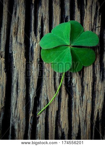 Clover Leaves On Shabby Wooden Background. The Symbolic Of Four Leaf Clover The First Is For Faith,