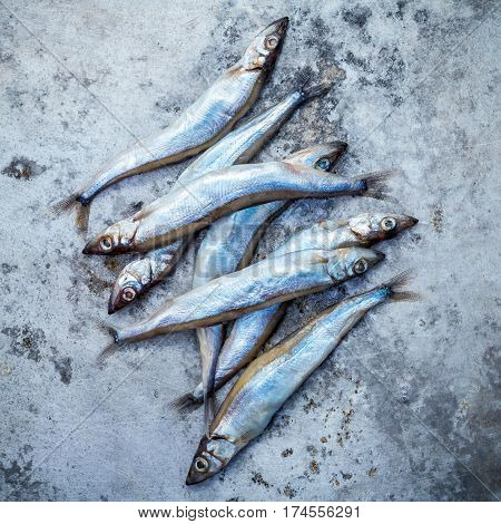 Fresh Catch Shishamo Fish Fully Eggs Flat Lay On Shabby Metal Background. Shishamo Fish Is Popular F