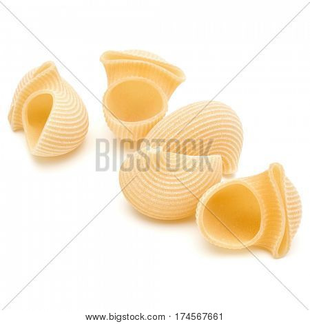 Italian lumaconi isolated on white background. Lumache, snailshell shaped pasta.
