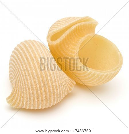 Italian lumaconi isolated on white background. Lumache, snailshell shaped pasta.