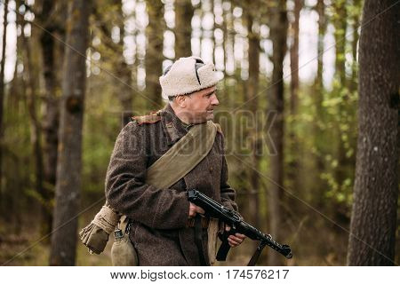 Pribor, Belarus - April 23, 2016: Man Re-enactor Dressed As Russian Soviet Red Army Infantry Soldier Of World War II Walking With PPS Submachine Gun In Hands In Forest