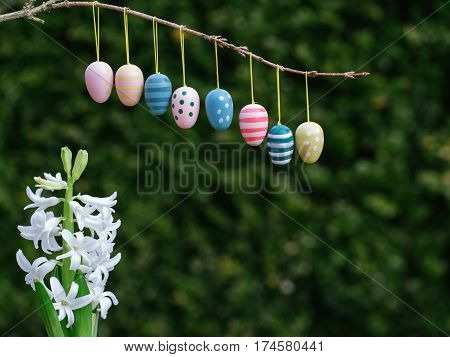 Easter eggs border on natural green background in natural light