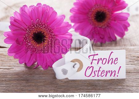 Label With German Text Frohe Ostern Means Happy Easter. Pink Spring Gerbera Blossom. Vintage, Rutic Or Aged Wooden Background. Card For Spring Greetings.