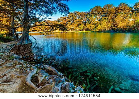 Canoes And Fall Foliage On The Crystal Clear Frio River In Texas.