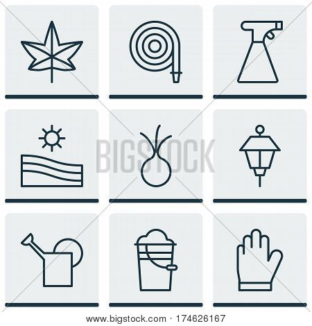 Set Of 9 Plant Icons. Includes Garlic, Fire Tube, Autumn Plant And Other Symbols. Beautiful Design Elements.