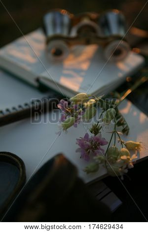vintage pearl operaglasses and notepads in the sunset light