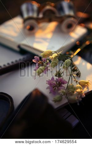vintage pearl operaglasses and notepads in the sunset light