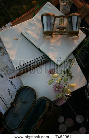 vintage pearl operaglasses and notepads in the sunset light