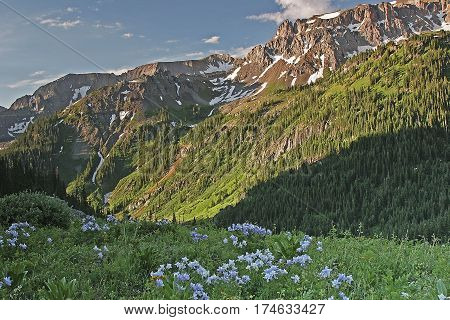 Colorado summerat Yankee Boy Basin in the San Juan Mountains