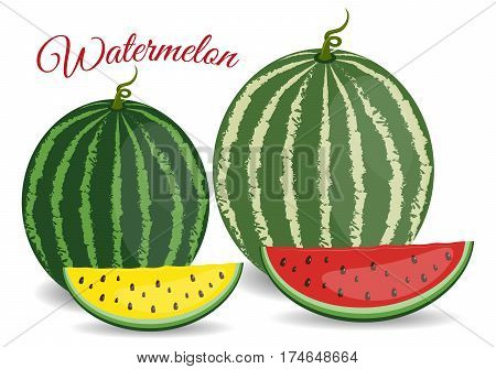 Half of ripe watermelon isolated on white background. Watermelon cut in half