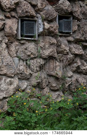 green grass growing in a stone wall with two Windows