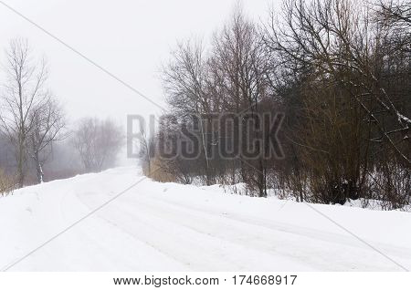 Winter road in the fog forest landscape