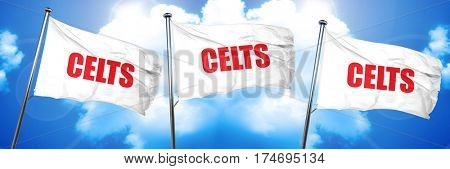 celts, 3D rendering, triple flags