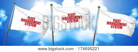 fleet management system, 3D rendering, triple flags