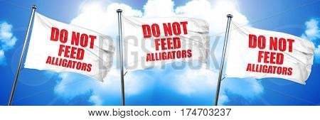 do not feed alligators, 3D rendering, triple flags