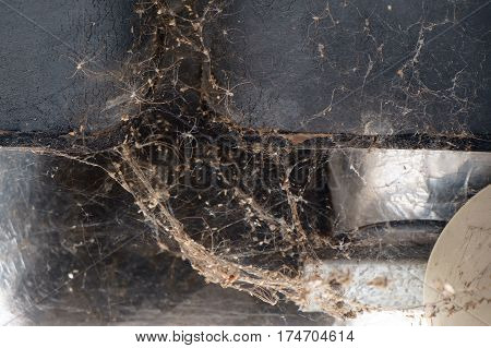creepy and scary of spiders land with a much spider.
