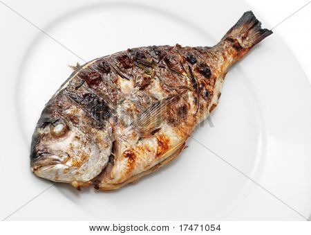 Grillet Dorado med Spicery over hvide