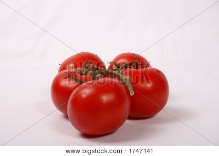 Tomato_Branch