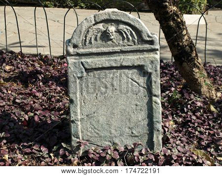 A blank tombstone in a cemetery with copy space for halloween gravestone horror death backgrounds.