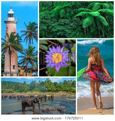 Pictures set consisting of nine beautiful photoes about Sri Lanka