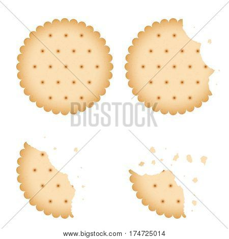 Bitten chip biscuit cookie, cracker vector set. Baked biscuit on white background, illustration of bitten biscuit