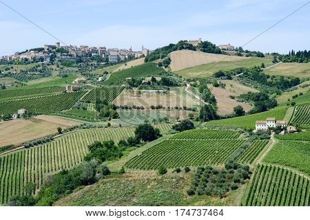 Acquaviva Picena Small Village On Marche