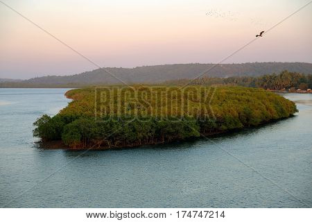 Beautiful island on the river in India