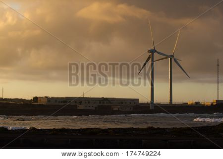 Pair of wind turbines move at sunset beautiful light, Spain, Fuerteventura island