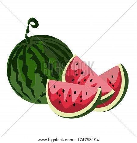 Whole watermelon and red chunks of watermelon closeup