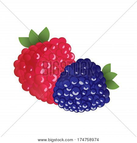 Two berries closeup. Raspberries and blackberries on white background