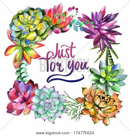Wildflower succulentus flower frame in a watercolor style isolated. Full name of the plant: succulentus. Aquarelle wild flower for background, texture, wrapper pattern, frame or border.