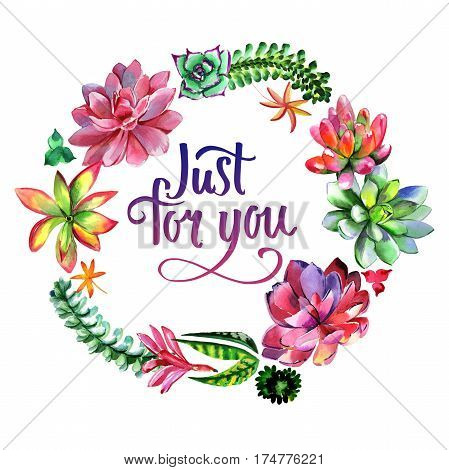 Wildflower succulentus flower frame in a watercolor style isolated. Full name of the plant: succulentus. Aquarelle wild flower for background, texture, wrapper pattern, frame or border.