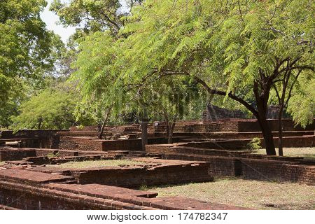 Walls of ancient buildings in polonarruwa with big green tropical trees horizontal