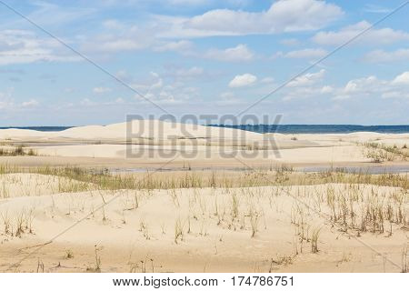 Dunes, vegetation and puddle of Mostardas beach