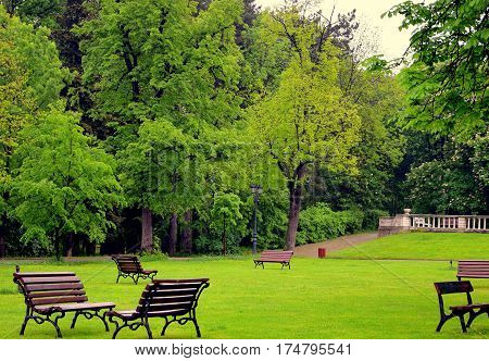 Green garden for relaxation and rest. Peace and wisdom
bench trees