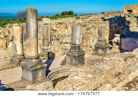 Ruins of Volubilis, a Berber and Roman city in Morocco. UNESCO world heritage site