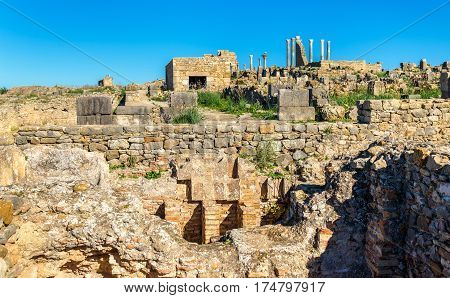 Ruins of Volubilis, a Berber and Roman city in Morocco. UNESCO world heritage site