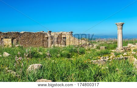 Ruins of Volubilis, a Berber and Roman city in Morocco. UNESCO world heritage site