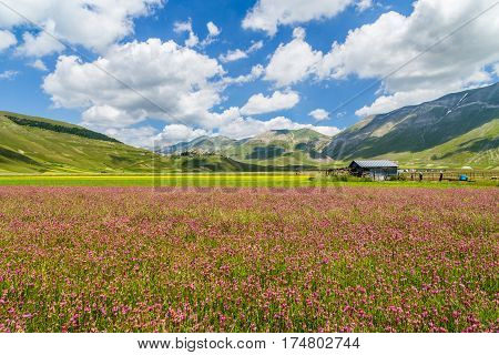 Beautiful Summer Landscape At Piano Grande (great Plain) Mountain Plateau In The Apennine Mountains,