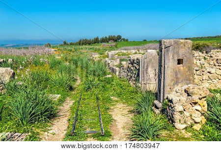 Ruins of Volubilis, a Berber and Roman city in Morocco. UNESCO world heritage site