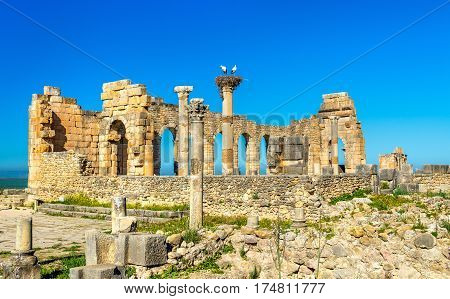 Ruins of a roman basilica at Volubilis, a UNESCO world heritage site in Morocco