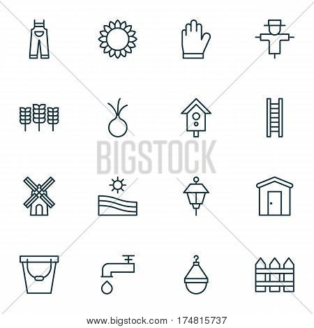 Set Of 16 Agriculture Icons. Includes Wheat, Bugbear, Helianthus And Other Symbols. Beautiful Design Elements.