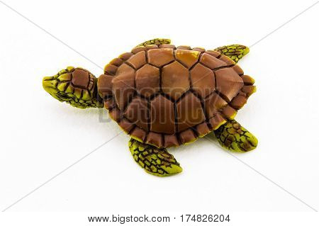 Rubber turtle toy isolated on white background