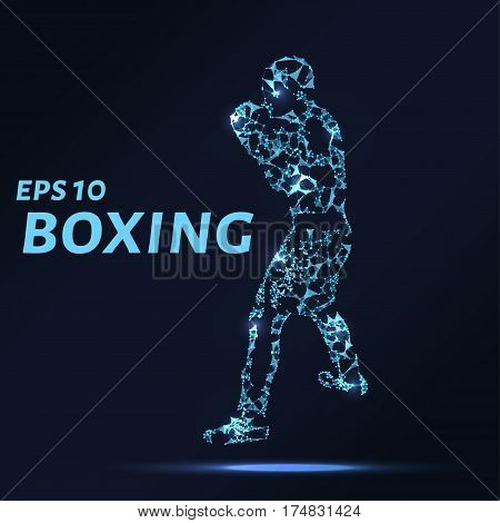 Boxer Consists Of Points, Lines And Triangles. The Polygon Shape In The Form Of A Silhouette Of A Bo
