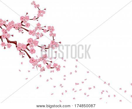 Branches with pink flowers and cherry buds. Sakura. Petals flying in the wind. isolated on white background. vector illustration