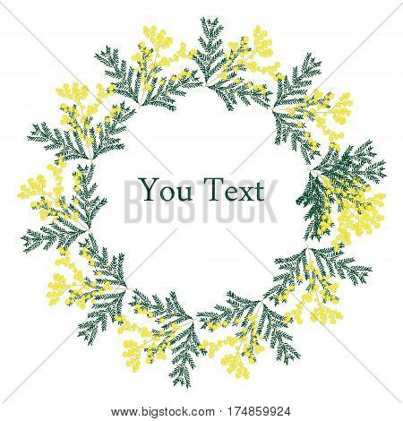 8 March greeting card. International women's day. Calligraphic hand written phrase and hand drawn flowers mimosa.