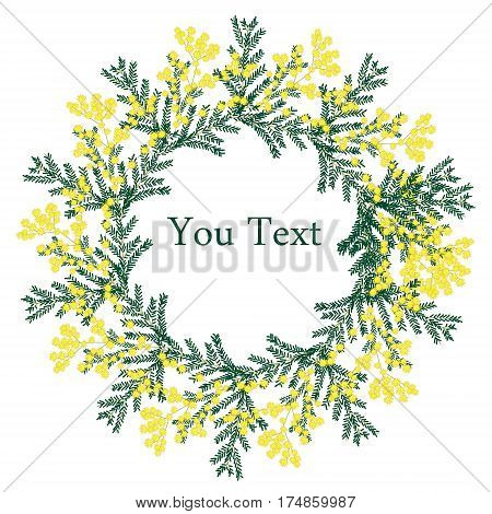 8 March greeting card. International women's day. Calligraphic hand written phrase and hand drawn flowers mimosa.