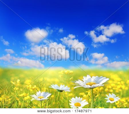 Wunderschöne Landschaft