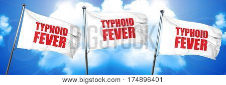 typhoid fever, 3D rendering, triple flags