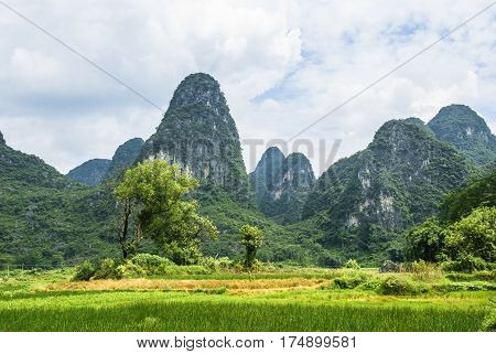 The karst mountains and rural scenery in summmer